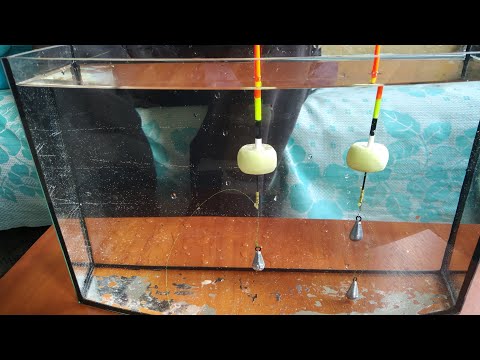 Полудонка (#ТПС). Часть 1.Базовые определения и принцип работы полудонки. Эффект свободного поплавка