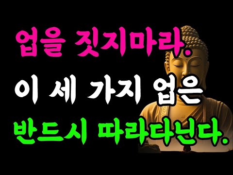 업을 짓지 마라  이 세 가지 업은 반드시 따라다닌다#부처님말씀 #명언 #자기수행 #불교명상 #세가지업#좋은글 # 석가모니말씀#
