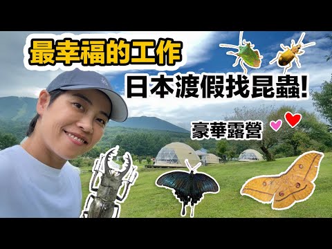 動森真實版!日本便利商店竟然可以抓到超多昆蟲!夏天的滑雪場是生態天堂~山毛櫸林盡情探索!我以為是來渡假想不到大豐收!