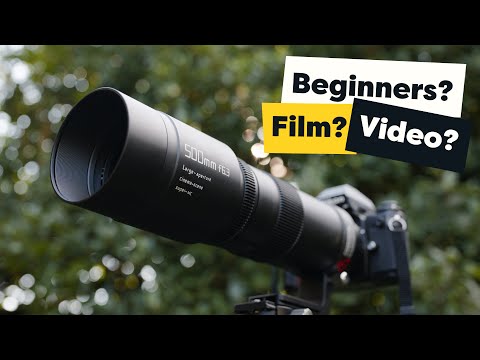 An Affordable Wildlife Lens - The TTArtisan 500mm f/6.3. Who's it for?