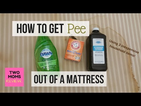How to get PEE out of a MATTRESS! ⚡ Amazing