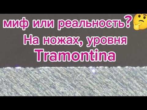 Заусенец ,миф или реальность 🤔?На ножах уровня Tramontina Заточка на ZagMax.