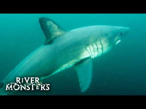 River Monsters Full Episode - Season 7, Episode 3 - Alaska's Cold Water Killer