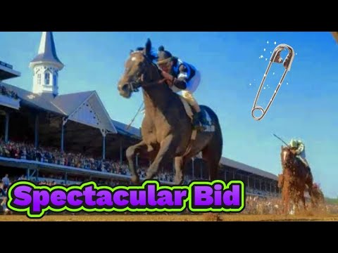 Spectacular Bid The Last Super Horse 🏇🏇🏇