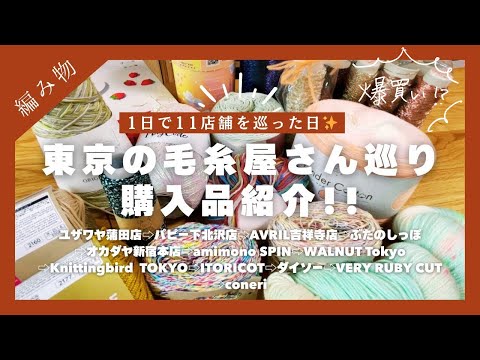 [Purchase Introduction] I visited 11 yarn stores in Tokyo in one day ♡ #knitting #yarn