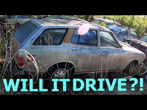 Will it DRIVE after being ABANDONED in a SALVAGE YARD?! 1977 Datsun 710!