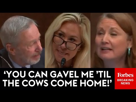 Marjorie Taylor Greene Furiously Slams Gavel During Battle With Melanie Stansbury & Stephen Lynch