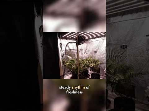 Perpetual Gardening Year Round Harvests & Constant Growth #organicgardening