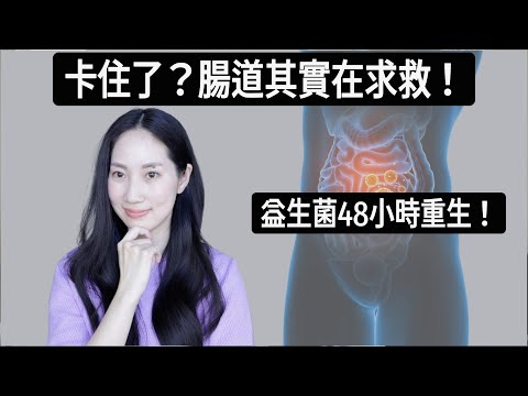 No noticeable effects after taking probiotics for half a day? Research: Gut microbiota can be rev...