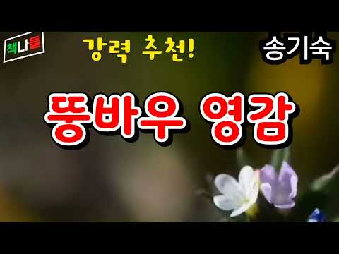 재미 있는 소설을 찾고 계신다면 이 작품을 추천합니다.| 뚱바우 영감 | 송기숙