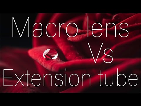 Macro lens Vs extension tubes: Which is better?