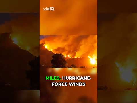 An Asteroid Made the Chesapeake Bay