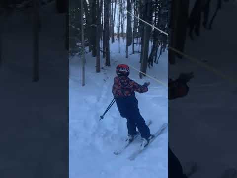 A lot of people talk about making a rope tow so they can ski in their back yard.  I actually did it.