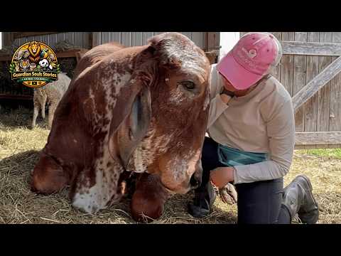 Rejected His Whole Life… But He Never Stopped Choosing Love