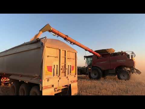 Large scale harvesting operations in Queensland, Australia. Live to explore @JohnWestman1 
