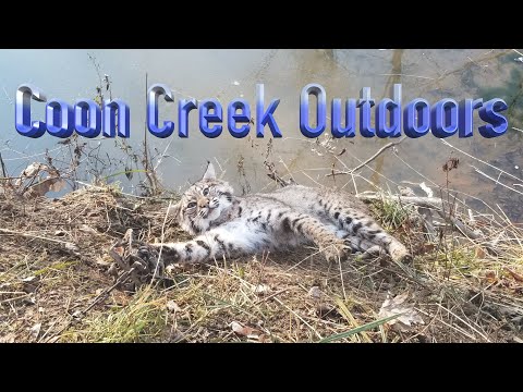 Setting Up and Running a Small TRAPLINE (Back to My Roots)