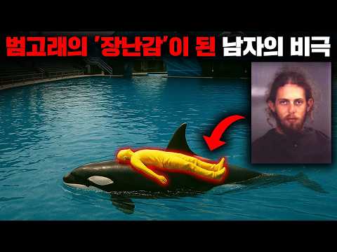 아쿠아리움의 범고래 등 위에서 남자가 너덜너덜한 시신으로 발견되었던 이유 [사건사고]