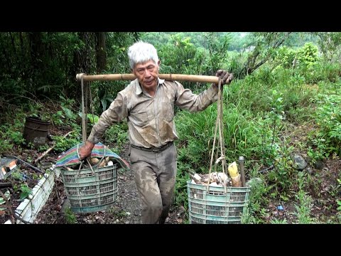 《新春農場》｜2025勞動金像獎短片組第一名｜聾啞老農的勞動與尊嚴紀錄片