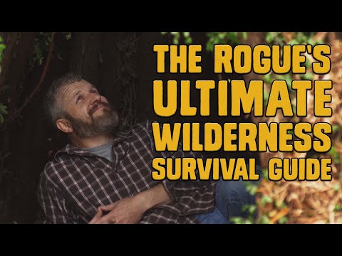 Essential Rogue Survival Tactics