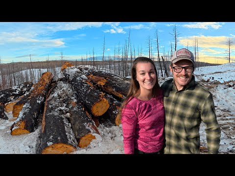 Calling In Some Help | Looking For Logs So We Can Get Back To Milling | 10 c Degrees in December?!