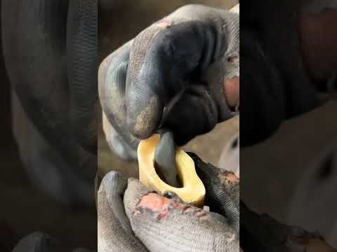 Handmade Bone Knife—Sharp and Ready for Action! 🔪🔥