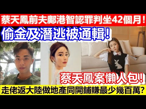 🔴蔡天鳳前夫鄺港智認罪判坐42個月！偷金及潛逃被通輯！走佬期間竟然返大陸做地產同開鋪賺最少幾百萬？蔡天鳳案懶人包！｜CC字幕｜Podcast｜日更頻道 #東張西望 #何伯 #何太 #李龍基 #蔡天鳳