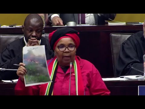 EFF MP Khawula Brings Photo Proof “Mkhwanazi Is Coming For You, We Are Tired”