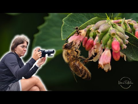 Photography kit for vivo x200 Ultra || Do you really need it?