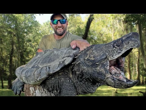 The World’s Most Dangerous Turtle (CATCH AND COOK)