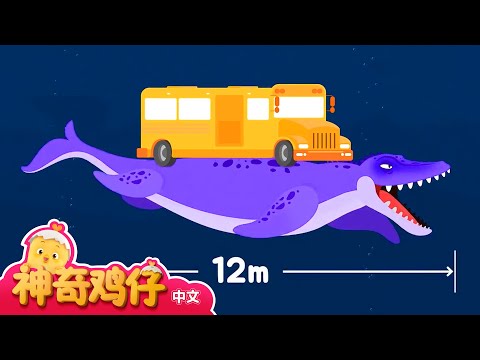 海洋的霸主！沧龙 +更多精彩 | 神奇鸡仔 | 儿童卡通动画 | Como Kids