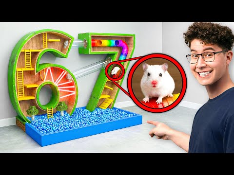 Hamster VS Deadliest Maze Challenge!