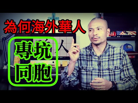 為什麼海外華人不團結，反而專坑同胞？分享我被騙的經歷，以及我差點使別人受騙┃洛奇漫談