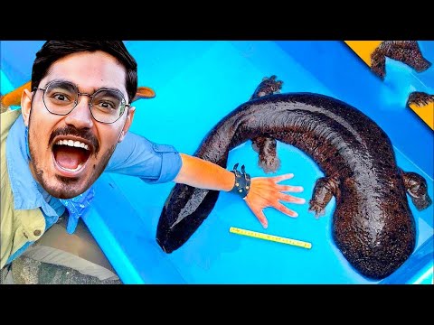 Going To a Dangerous Island in Goa   हम एक खतरनाक द्वीप पर पहुंच गए   100% Real