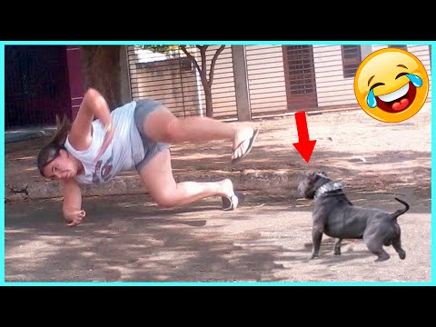 TRY NOT TO LAUGH 😂 Funny Fails Video Compilation🤭People Being Idiots #48