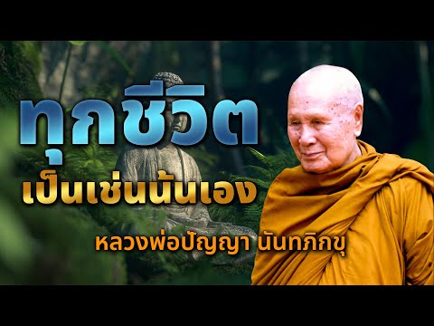 ทุกชีวิตเป็นเช่นนั้นเอง #หลวงพ่อปัญญา นันทภิกขุ #วัดชลประทานรังสฤษดิ์