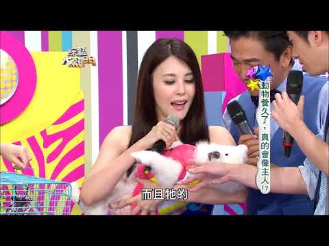 【動物養久了，真的會像主人！？】綜藝大熱門【經典再現】