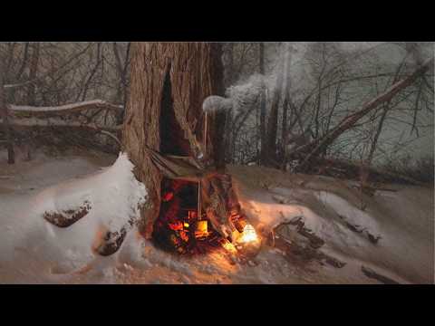 Extreme survival in a hollow tree in winter | Primitive fire-making, fishing and cooking