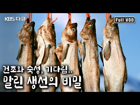 거친 바다가 인간에게 안겨주는 최고의 선물! 물고기의 맛의 진화와 공존의 행복. 그 비밀! (KBS 20171219 방송)