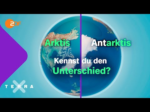 So unterschiedlich sind die Polarregionen | Terra X plus