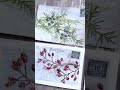 Winter Watercolour Botanical Postcards
