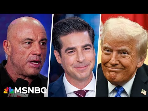 Cracking the MAGA 'Manosphere': MeidasTouch Bros on Joe Rogan, Jesse Watters and Donald Trump