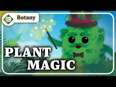 Photosynthesis and Cellular Respiration: Crash Course Botany #5