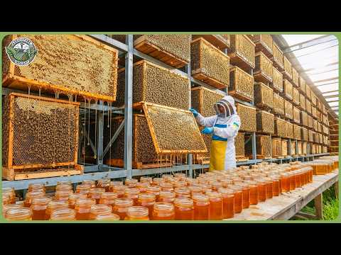 How Ukraine Farming Leads EU with 80 Million Tons of Crops & Meat - High Tech Agriculture