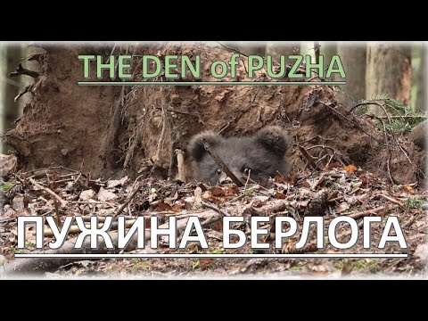 PUZHA AND HER DEN