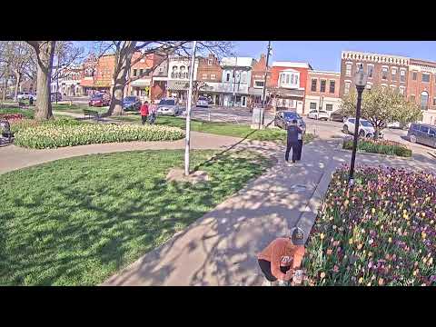 Pella Tulip Time 2026!