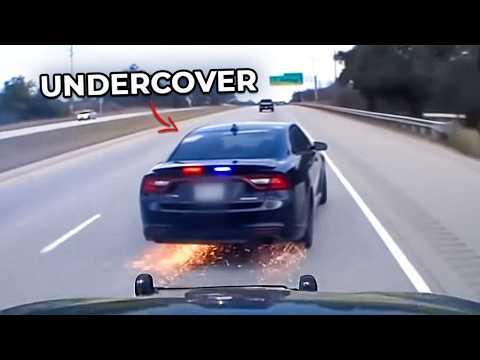 4 Times Cops Took Down the WRONG Drivers