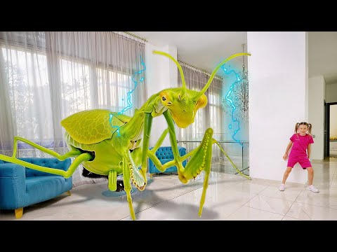 Obrie hmyzy u nás doma! 🐜 Úžasné tajomstvá zo života chrobákov