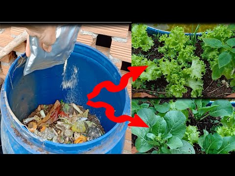 How To Use Kitchen Wastes As Organic Fertilizer For Crops At Home.