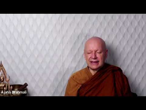 Ajahn Brahmali: "We've All Been There: Planes of Existence", Dhamma Talk,  Guided Med, Q&A 07.09.25