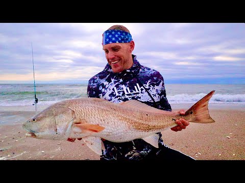 24hr Catch Cook and Camp- EPIC Surf Fishing!!
